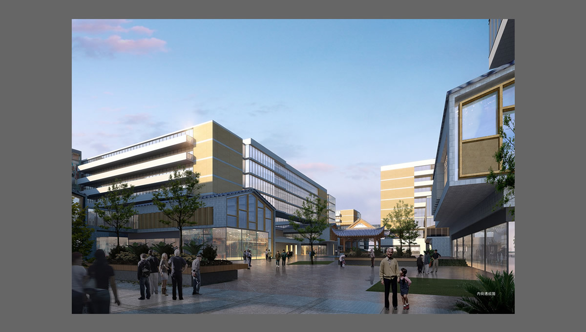 安徽省立醫院老年醫學康復中心項目